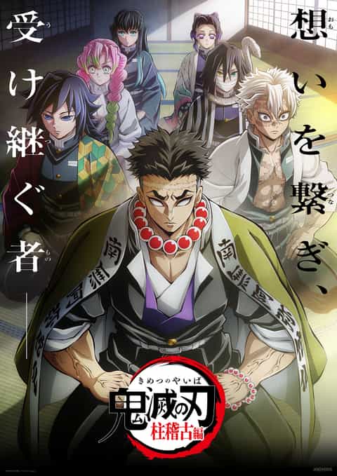 Demon Slayer Hashira Training Arc poster